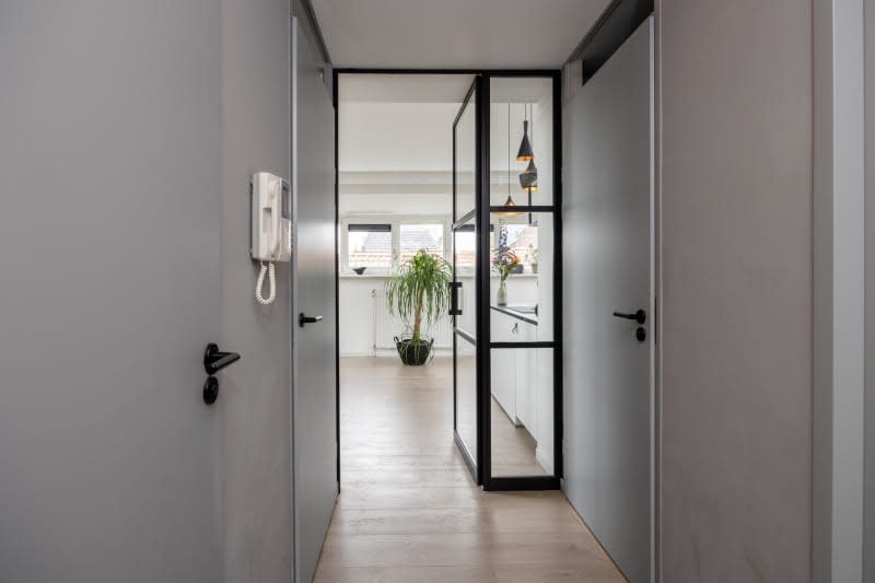 Gray walls and doors, black trim, glass panel door, large floor plant, natural lighting