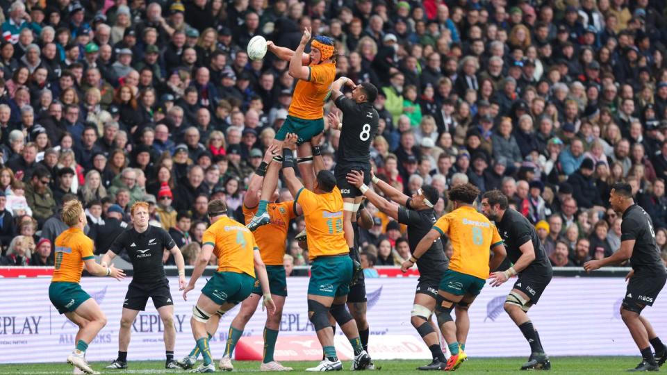 Action from New Zealand v Australia in the 2023 Bledisloe Cup.