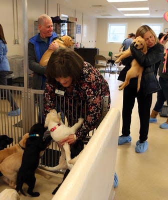 Maria Lazzaro picks up a puppy at the Guiding Eyes for the Blind Canine Development Center in Patterson on National Puppy Day, March 23, 2023. The organization was seeking Puppy Raisers, volunteers who help raise the puppies for the organization for 14-16 months.