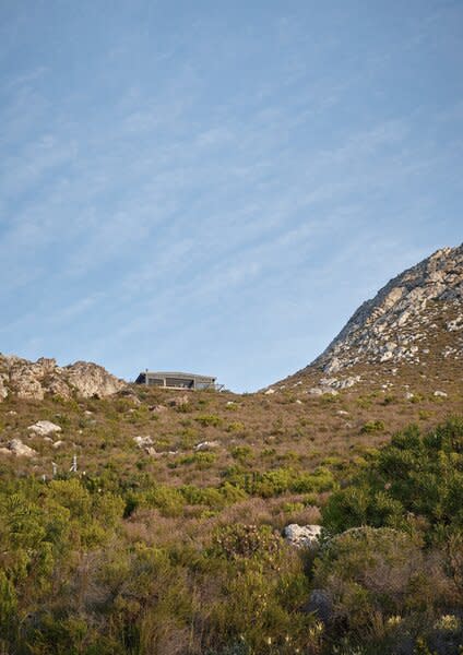 The cabin sits amongst the Horne family’s 20-hectare farm in the Kogelberg Biosphere Reserve.