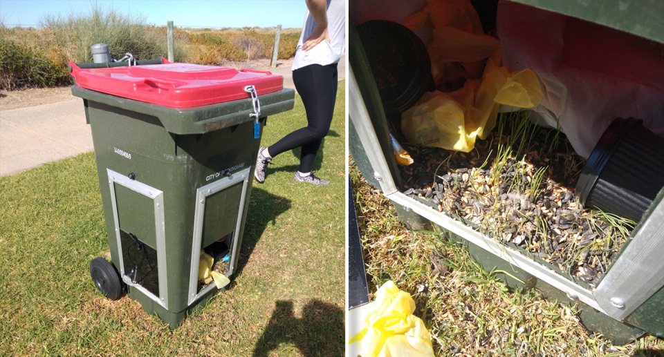 Two images of the wheelie bins used by council. One is a closeup of the seed.