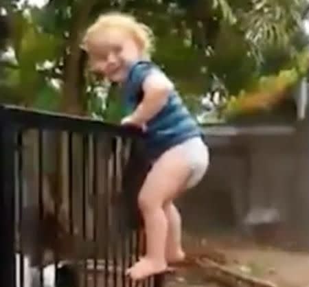 The two-year-old looks very happy with himself as he gets to the top. Source: 7 News