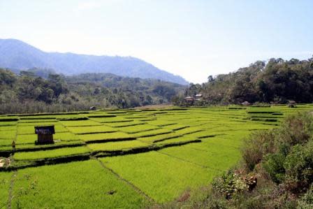 River valley in the Liang Bua area