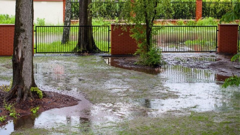 Low spots in your yard may not be identifiable until you experience your first rain after moving in.
