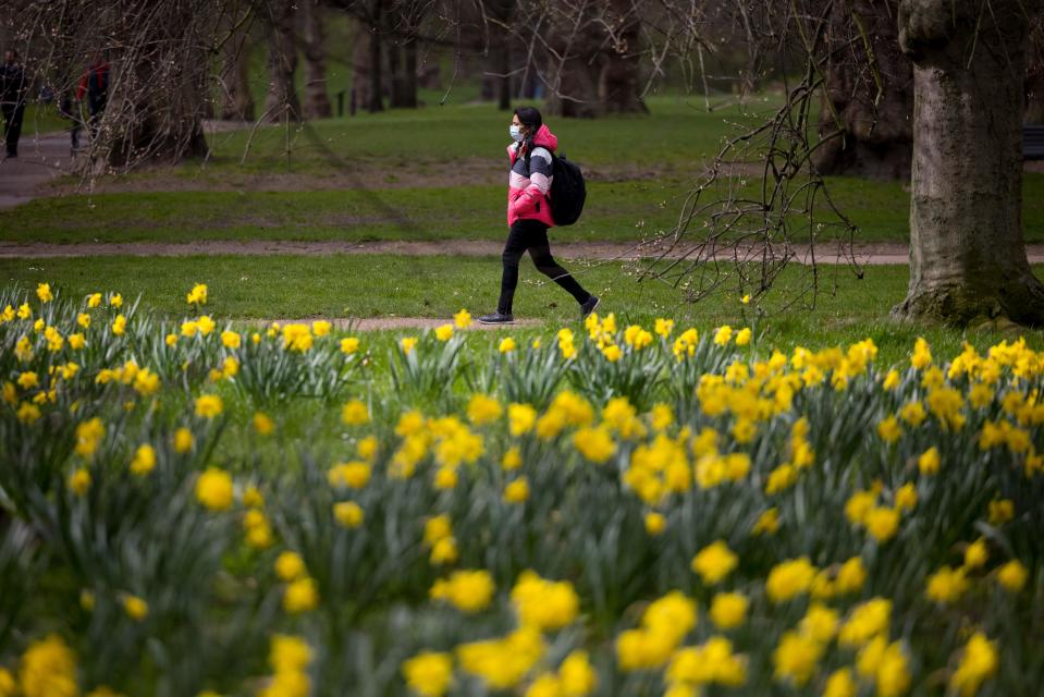 A woman wearing a face mask walks past daffodils in Green Park in central London (AFP/Getty)