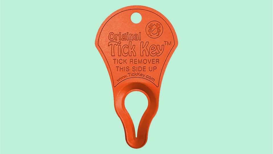 Gift tick protection with the Original Tick Key.