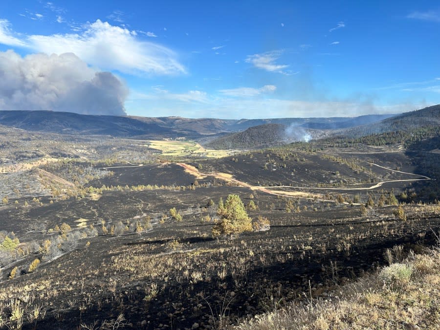 Lone Rock Fire