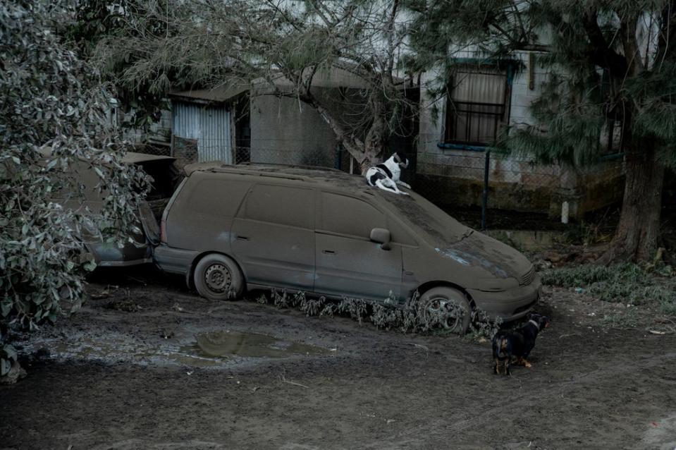A car covered with ash is seen outside a house following volcanic eruption and Tsunami in Tongatapu, Tonga,  on 16 January (via REUTERS)