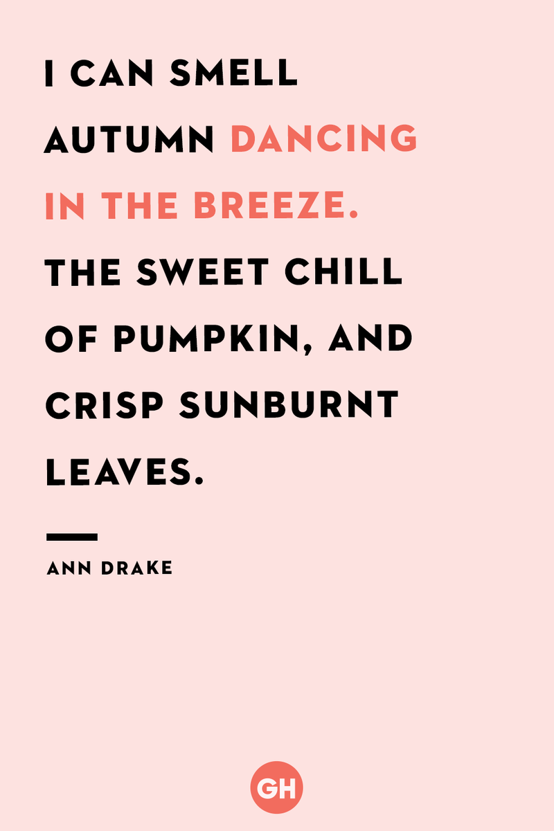 <p>I can smell autumn dancing in the breeze. The sweet chill of pumpkin, and crisp sunburnt leaves.</p>