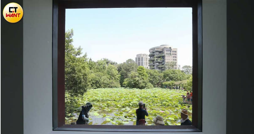 修繕後的史博館，將三、四樓陽台封閉，許多老台北人盼能開放，重溫昔日站在陽台上鳥瞰植物園的無敵美景。（圖／趙世勳攝）