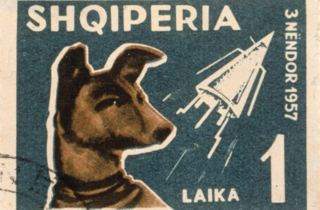 Laika: The First Dog in Space
