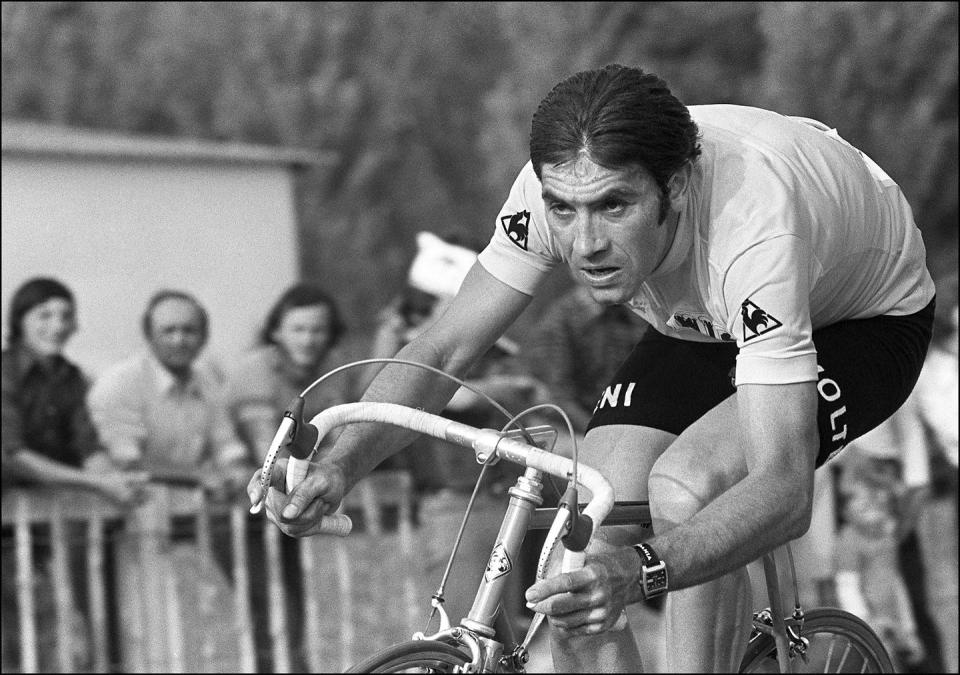 Eddy Merckx