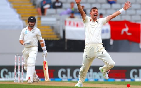 James Anderson appeals successfully for LBW for New Zealand's captain Kane Williamson  - Credit: REUTERS