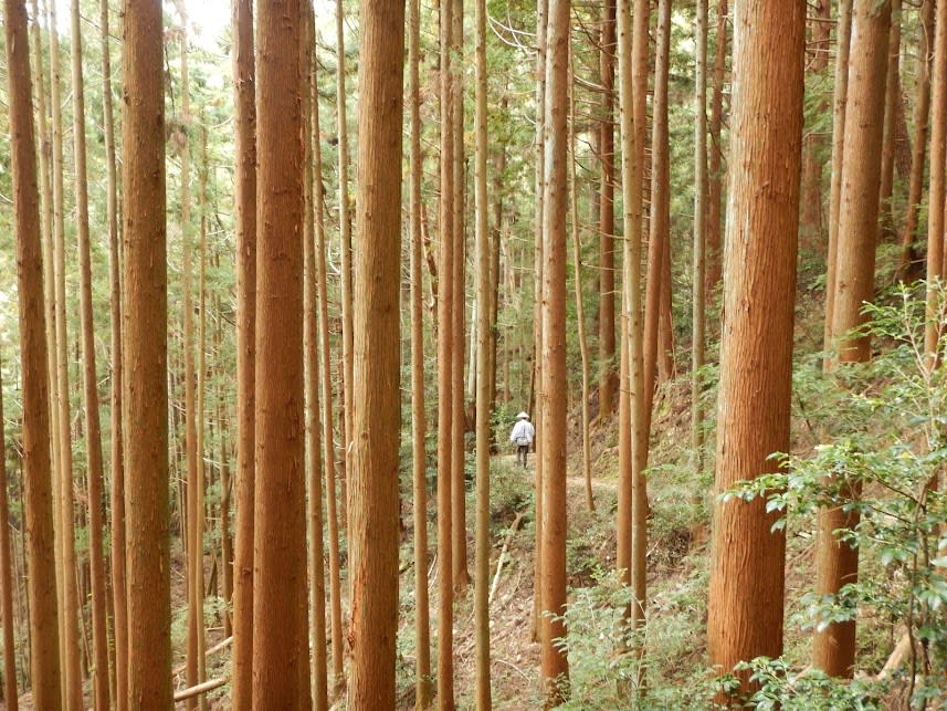 Peacefulness is a given, during Walk Japan's Shikoku Pilgrimage trek.