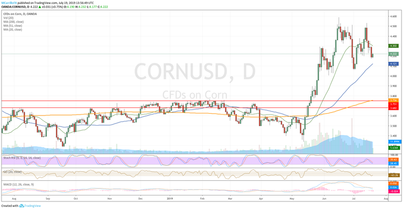 Prices of Corn daily chart July 19