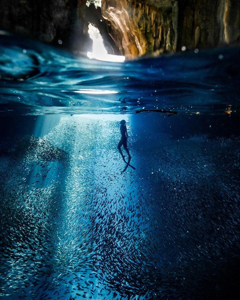 Silueta de apneísta llegando a la superficie de agua azul repleta de peces