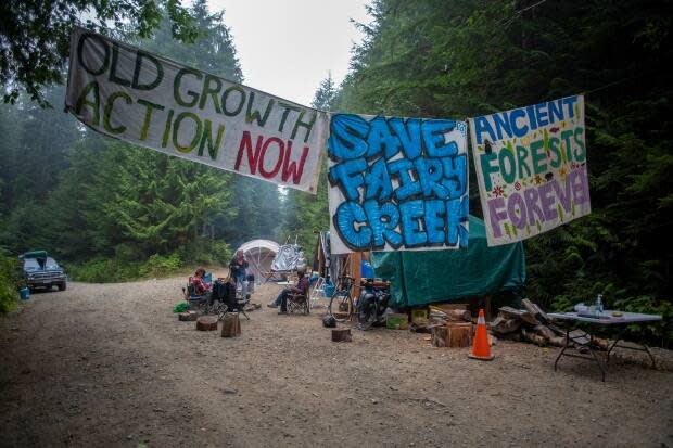 Protesters sit at a blockade in the Fairy Creek area of Vancouver Island. (Kieran Oudshoorn/CBC - image credit)