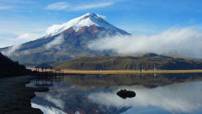 Alejo Miranda / Shutterstock.com