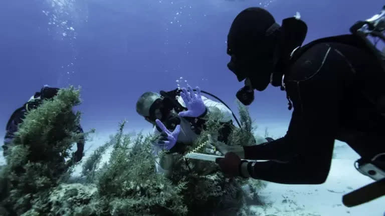 Expediciones anteriores han hecho que los escombros del Maravillas, como esta ancla, se esparcieran por el lecho marino.