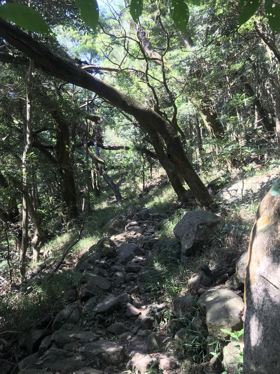 行山路線｜香港第五高山「禾秧山」！石天門靚景＋石林中觀漫山芒草