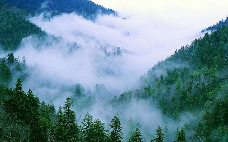 Great Smoky Mountains, Tennessee