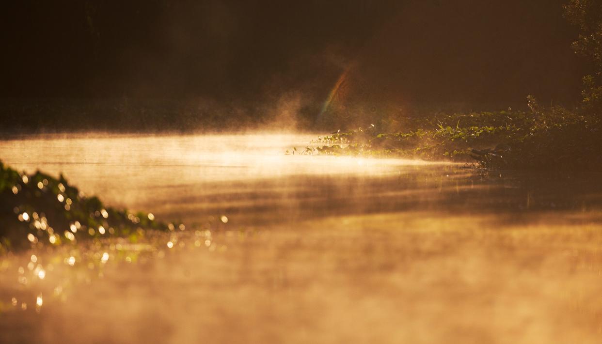 Steam fog rises off of an oxbow on the Caloosahatchee River in Alva on Wednesday, Oct. 18, 2023.