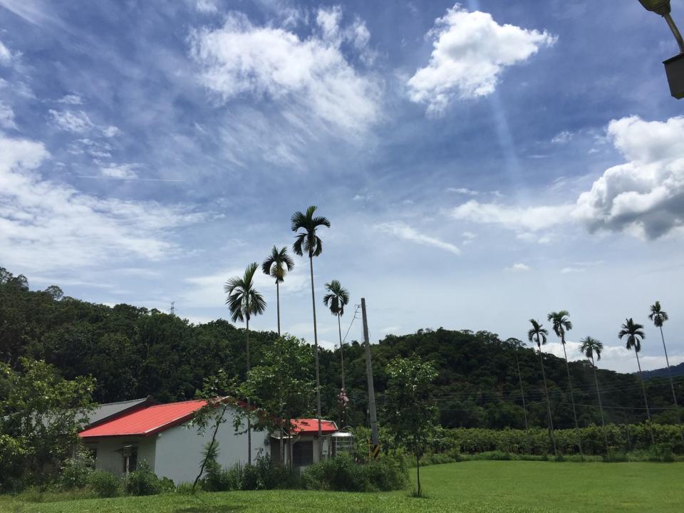 根據中央氣象局資料顯示，中部以南中午都有30度以上的高溫，而台北、板橋、台中也達31、32度的高溫   圖：葉宜哲/提供