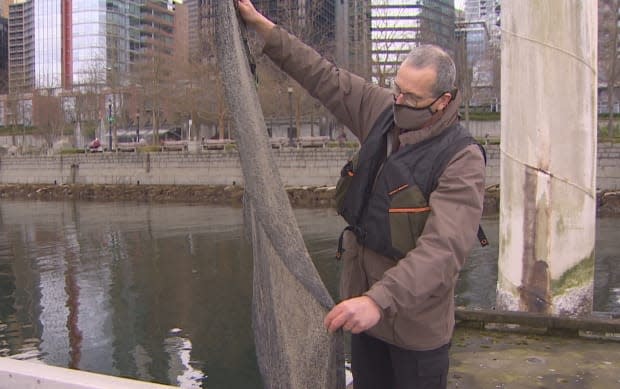 Marine biologist Doug Swanston holds up mesh fabric covered with tiny fertilized herring eggs. He is researching the impact of transplanting the eggs in the urban inlets of Vancouver. 