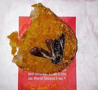 Cockroach in Hash Brown