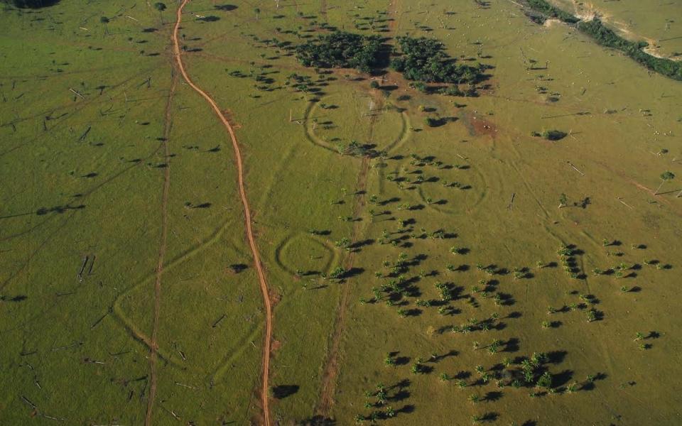 Hundreds of ancient earthworks resembling Stonehenge found in Amazon rainforest