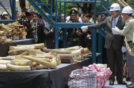Thailand's Prime Minister Prayuth Chan-ocha (2nd R) looks at confiscated elephant tusks during an ivory destruction ceremony at the Department of National Parks, Wildlife and Plant Conservation, in Bangkok, Thailand, August 26, 2015. REUTERS/Chaiwat Subprasom