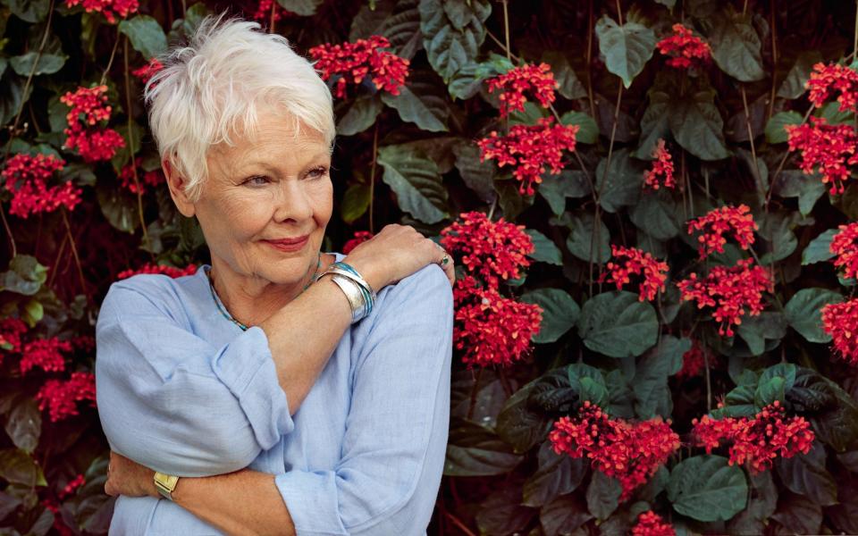 Dame Judi said she was happy to have found 'a jolly nice friend' in David Mills - Colston Julian/Good Housekeeping