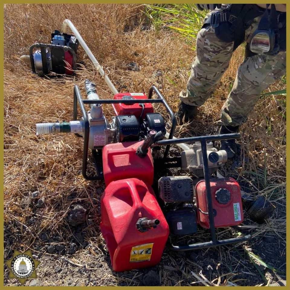 During the seizure of more than 36,000 marijuana plants at 10 locations on September 9 and 10, 2024, investigators found portable water pumps and power generators used to grow the illicit crop in the Delta area of ​​Sacramento County, California.