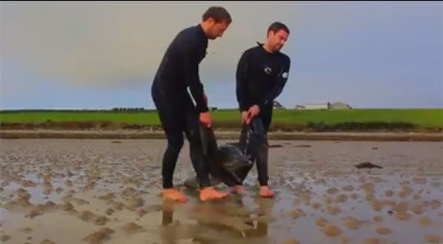 One by one the surfers carry the mammals to safety. Source: Fergus Sweeney