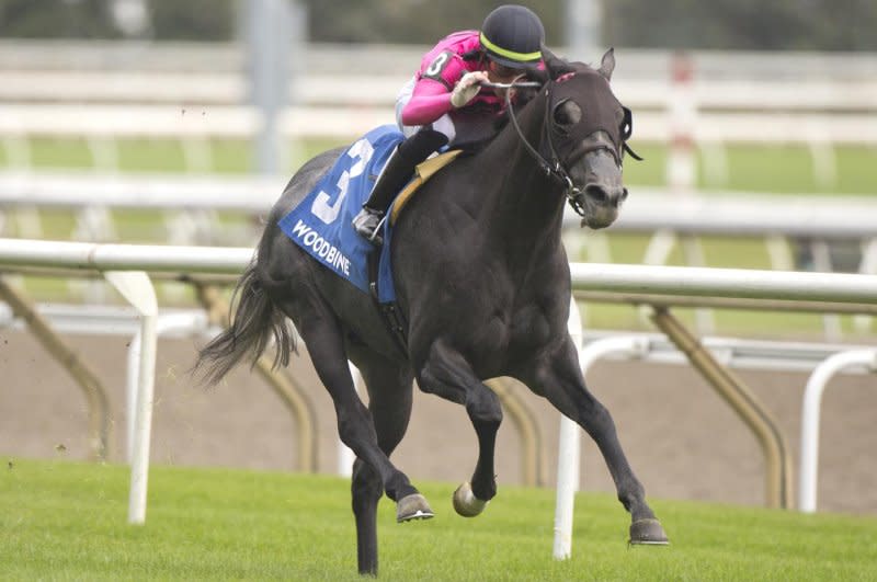 My Boy Prince wins the Cup and Saucer Stakes at Woodbine. Michael Burns photo, courtesy of Woodbine
