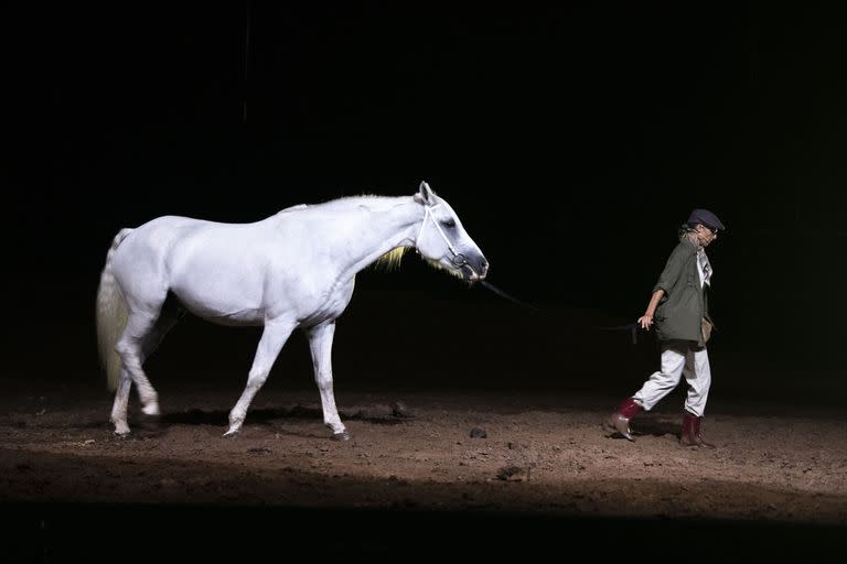 En el comienzo de la puesta de Castellucci, un caballo perdido encuentra restos humanos, el disparador de la llamada de su dueña que pedirá intervención del Acnur