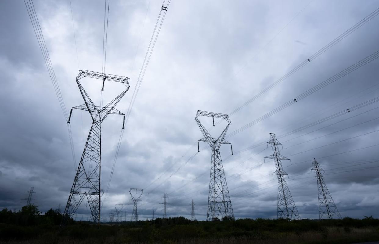 Canadians will be spending more time outdoors in backyards, parks, cottages and elsewhere with the arrival of the summer weather. Electrical safety advocates say they should pay attention to where the power lines are present in these outdoor spaces. (Adrian Wyld/The Canadian Press - image credit)