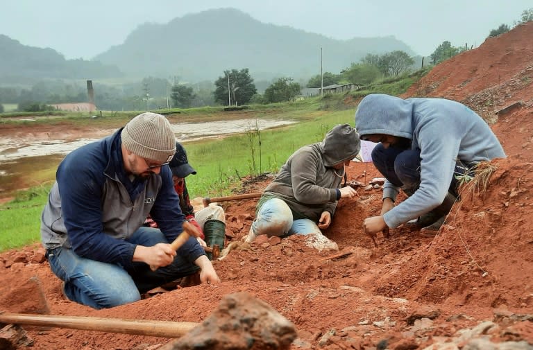 Una imagen publicada por la Universidad Federal de Santa María (UFSM) el 18 de julio de 2024 muestra a paleontólogos trabajando en un sitio de excavación donde se descubrió un fósil de dinosaurio en Sao Joao do Polesine, Rio Grande do Sul, Brasil (Handout)