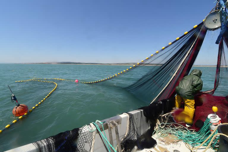 En esta foto de archivo tomada el 5 de mayo de 2014, un pescador saca las redes del agua frente al pueblo mediterráneo de Gruissan, cerca de Narbona, en el sur de Francia.
