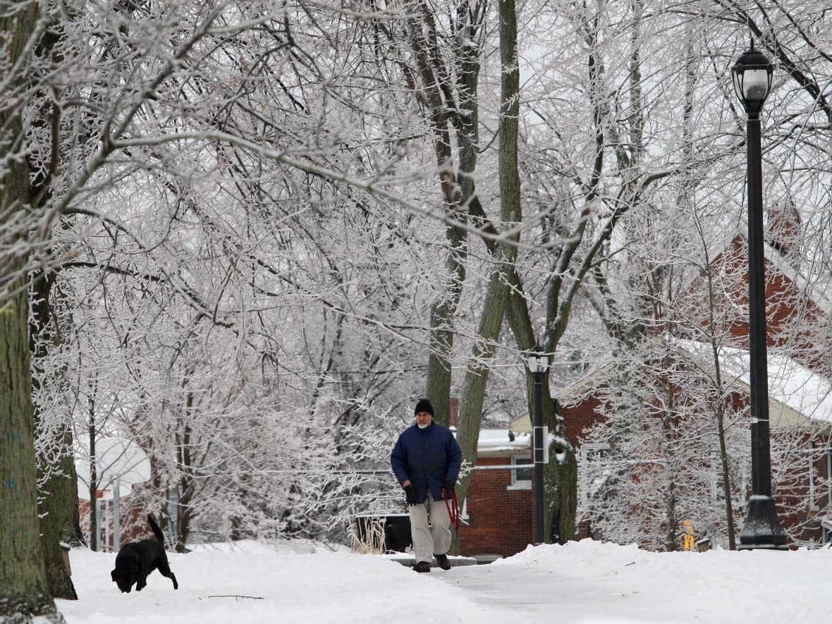 A man walks his dog in a park in Kingston, Ont., after an icy night, which resembles what the city could look like on Friday. (Lars Hagberg/The Canadian Press - image credit)