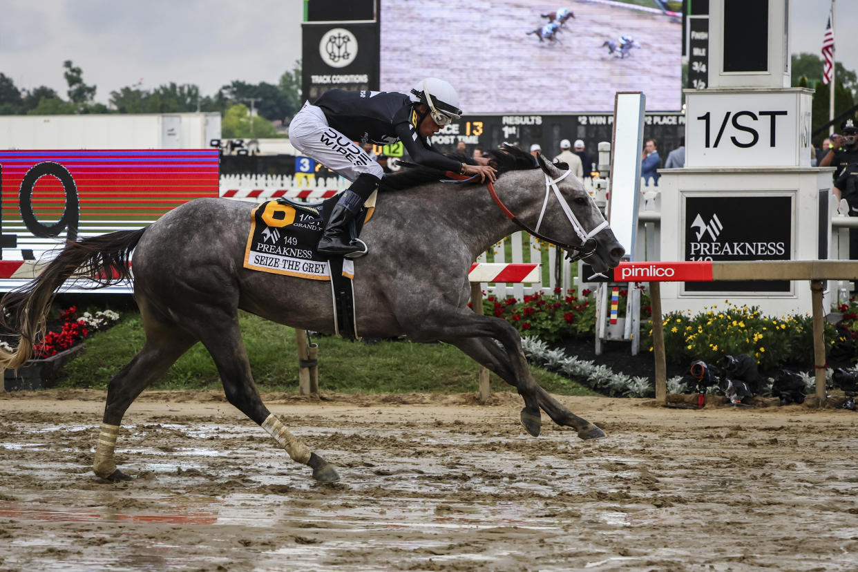 Seize the Grey won the Preakness Stakes on Saturday afternoon in Baltimore. 