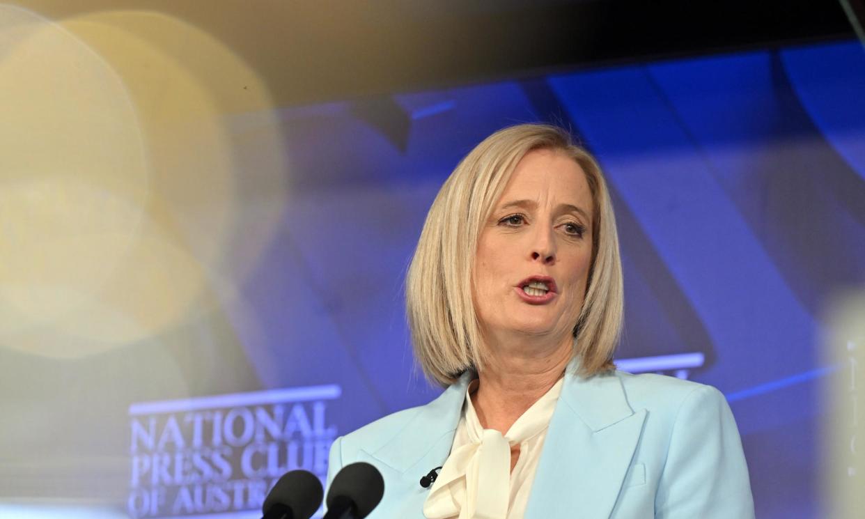 <span>The minister for women, Katy Gallagher, says the commonwealth has provided funding for more family violence and workers and it is up to the states to implement the program by hiring workers.</span><span>Photograph: Mick Tsikas/AAP</span>