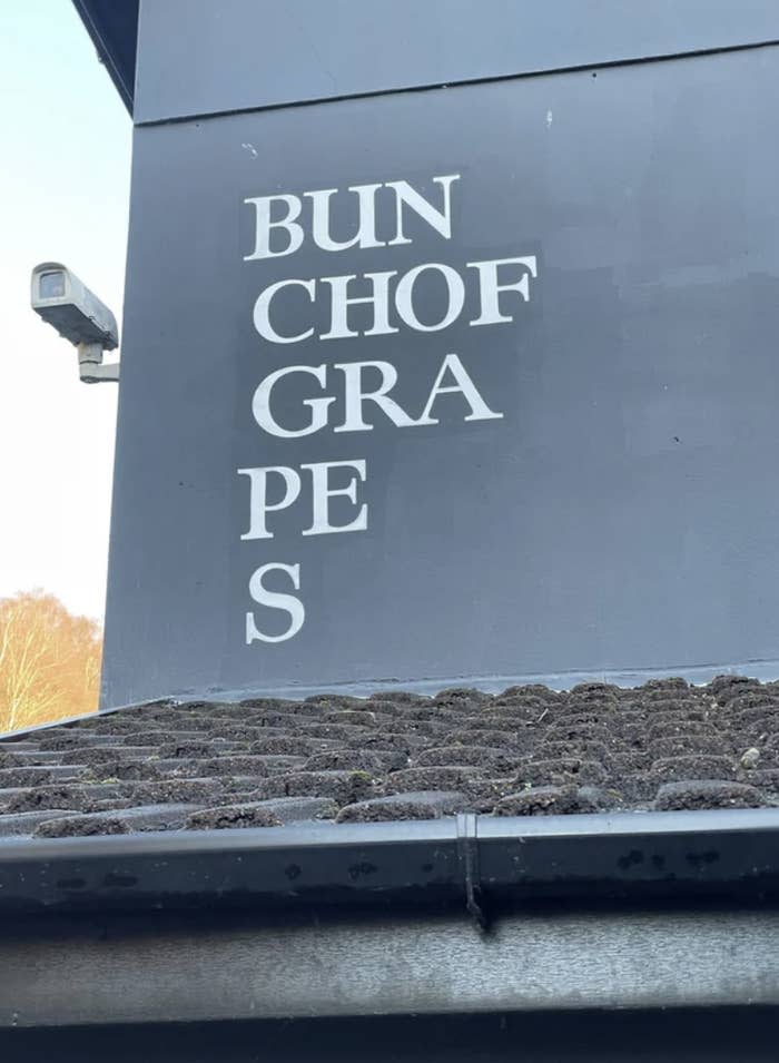 "Brunch of grapes" written in staggered letters