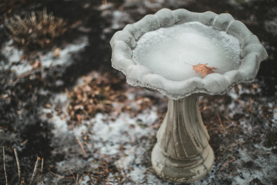 A frozen bird bath in winter