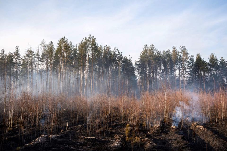 This picture taken on April 12, 2020 shows a forest fire burning at a 30-kilometer (19-mile) Chernobyl exclusion zone in Ukraine, not far from the nuclear power plant (AFP via Getty Images)