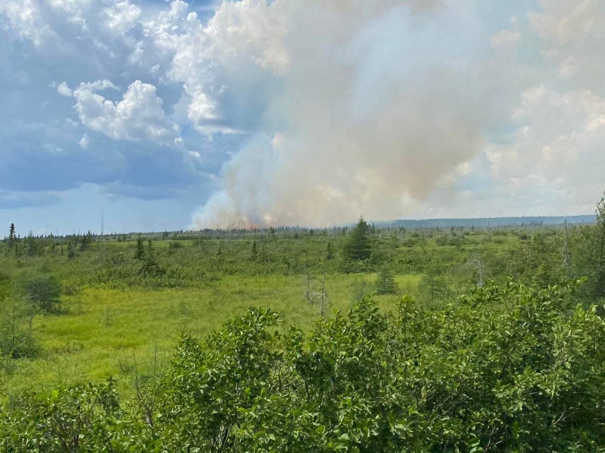 A forest fire was sparked a few kilometres off of Route 360, better known as Bay D'Espoir Highway, on Sunday. (Sheena Marie/Facebook - image credit)