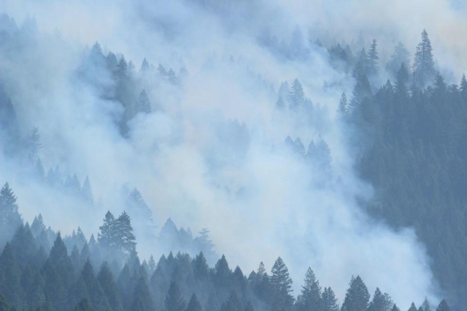 Smoke from the August Complex fire billows over forest land.