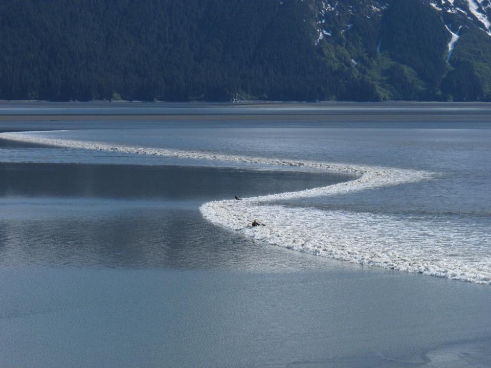 A kayaker rides the biggest bore tide of the summer as it roared into Turnagain Arm south of Anchorage, Alaska, on Tuesday, June 5, 2012. Bore tides can happen all over the world, but Anchorage's Turnagain Arm and Knik Arms are the only places in the United States where they occur regularly, according to Michael Lawson a meteorologist with the National Weather Service in Anchorage. (AP Photo/Ron Barta)