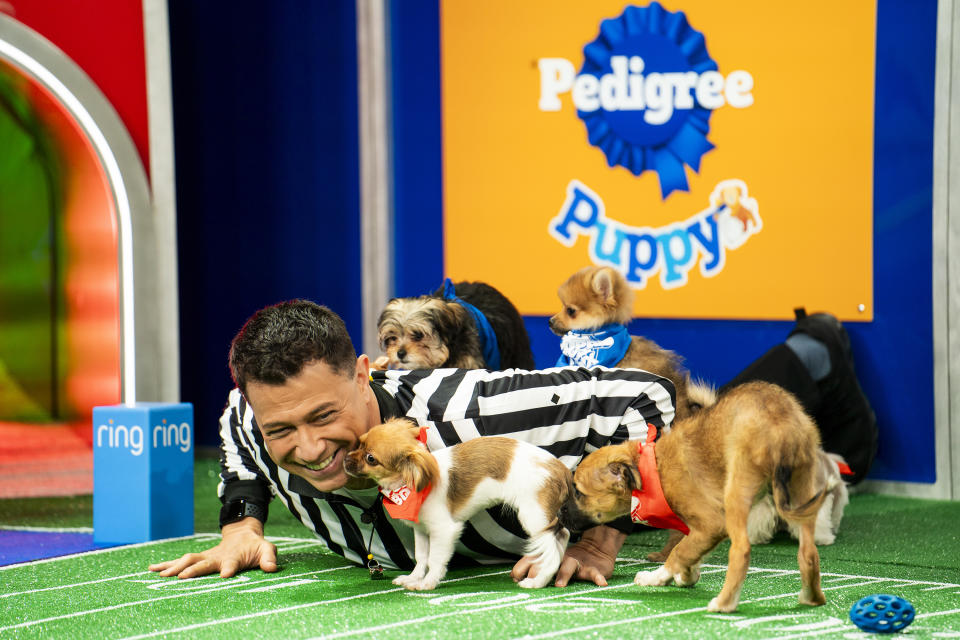 This image released by Animal Planet shows referee Dan Schachner with participants of the annual “Puppy Bowl” airing Sunday, Feb. 11 at 2 p.m. ET/11 a.m. PT and will be simulcast across Animal Planet, Discovery, TBS, truTV, Max and discovery+. (Animal Planet via AP)