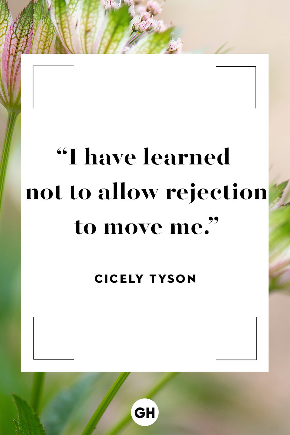 <p>I have learned not to allow rejection to move me.</p>